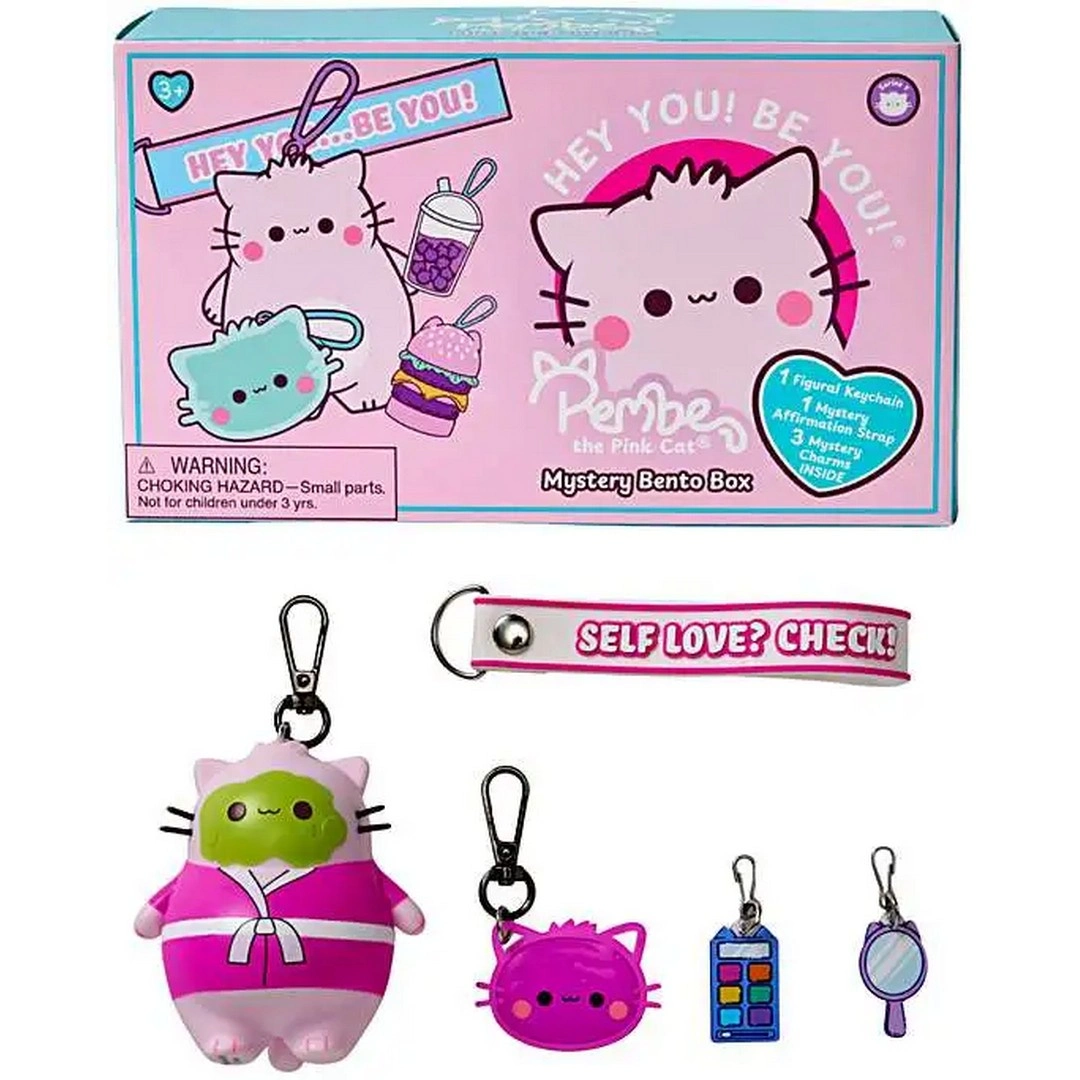Pembe Kedi Bento Kutusu Sürpriz Paket