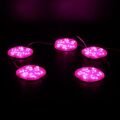PowerMaster PM-14709 12 Volt 3 Watt Pembe Sabit 6565-2835 Modül Led 65x65x12mm