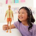JJN66 Ken Fashionistas - Kennin 65. Yıl - California Dream Ken