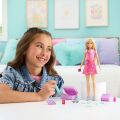 JMJ47 Barbie Malibu Sınırsız Macera
