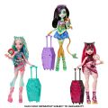 JDR49 Monster High Gizemli Arkadaşlar - 7. Seri(Belirtilen fiyat, tekli satış için adet fiyatıdır.)