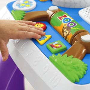 Fisher Price Eğitici Köpeğin Aktivite Masası