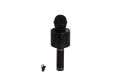 EMR-101 KUTULU KARAOKE MİKROFON