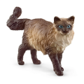 Schleich Ragdoll Kedi