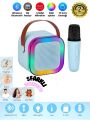 FP-K12 KARAOKE WİRELESS SPEAKER