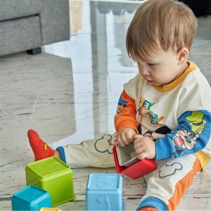 30798 Eğitici Kaplar Renkli Zoo -Enfal