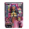 JBG76 Monster High Scary Sweet Birthday Cleo