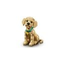 11384 Lego icons Yavru Golden Retriever 2102 parça +18 yaş