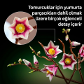 LEGO Botanicals Manolya Dalları 11510