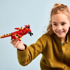 76448 Lego Harry Potter - Fawkes™: Dumbledore'un Anka Kuşu 299 parça +8 yaş