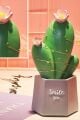 Led Işıklı Kaktüs Biblo Ev Dekorasyon ve Hediyelik Eşya Led Aydınlatma