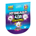 Mr. Beast Tekli Sürpriz Paket S3