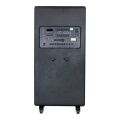 Shile SL-1612B İki El Mikrofonlu-Kumandalı USB/SD/BT/FM Taşınabilir Hoparlör