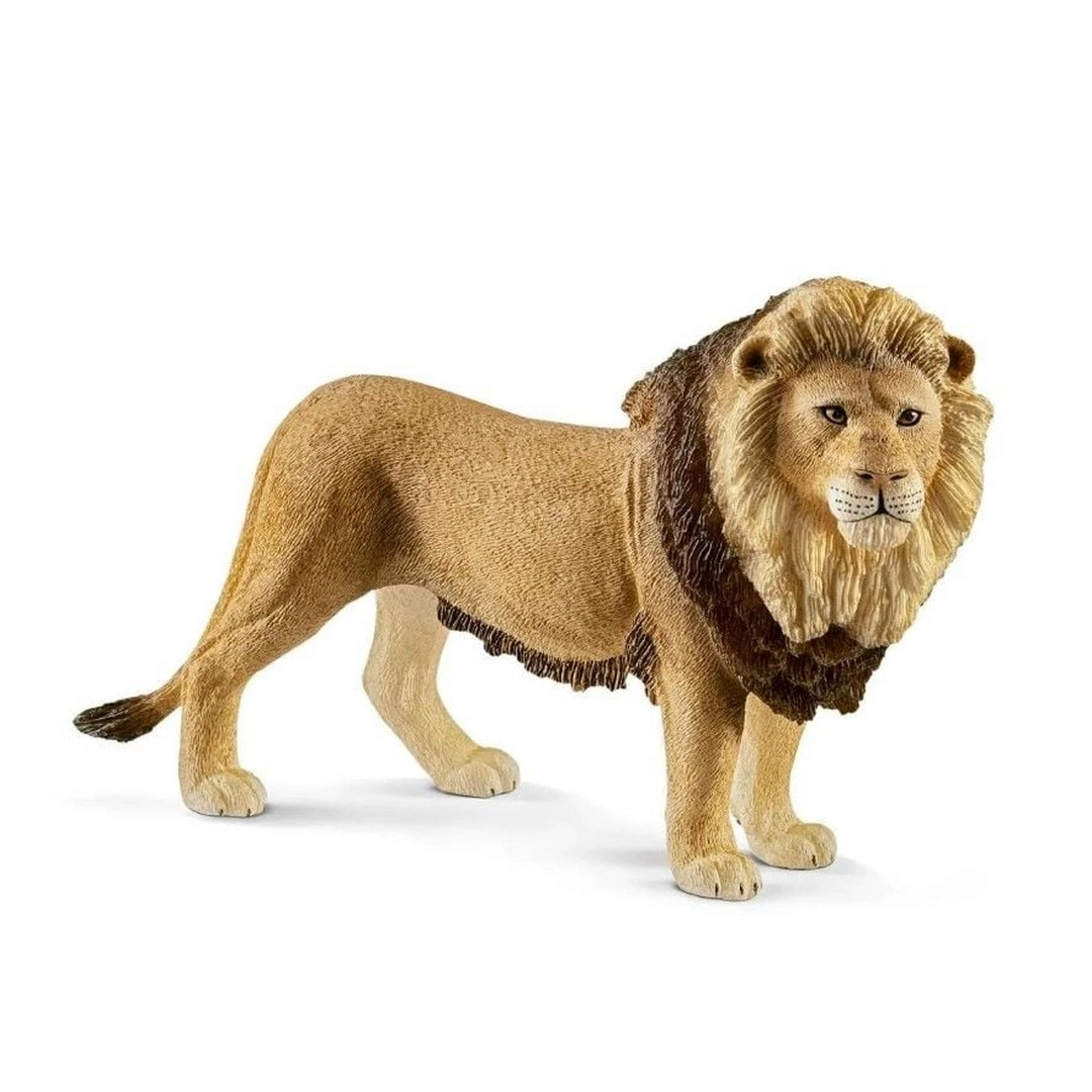 Schleich Erkek Aslan
