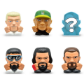 Mashems WWE Serisi 1 Sürpriz Paket