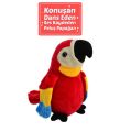 50105 25CM KONUŞULANI TEKRARLAYAN PAPAĞAN -HLY