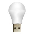 Powermaster PM-20920 5V 1A USB Led Lamba Gün Işığı