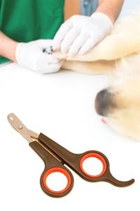 Küçük Çelik Uçlu Kedi Köpek Evcil Hayvan Tırnak Makası Pati Bakım Aleti Ergonomik Kaymaz Sap-1 Adet Fiyatı