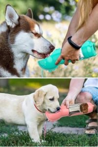 Taşınabilir Hazneli Mama Kaplı ,Kaka Poşetli Kedi,Köpek Suluğu-300ml