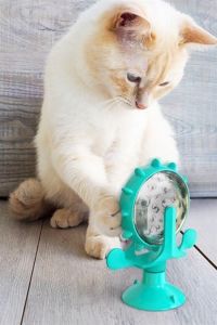 Vantuzlu Zilli İnteraktif Dönebilen Mama Kaplı Renkli Eğlenceli Eğitici Kedi Oyuncağı - Stokta Olan Renk Gönderilir