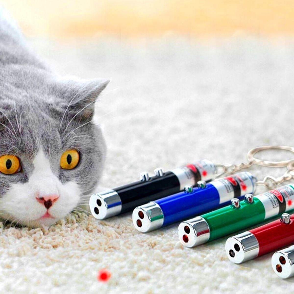 3 Fonksiyonlu Kırmızı Beyaz Işıklı Led Lazer Kedi Köpek Oyuncak Anahtarlık - 1 Adet Stokta Olan Renk Gönderilir