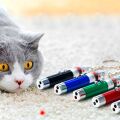 3 Fonksiyonlu Kırmızı Beyaz Işıklı Led Lazer Kedi Köpek Oyuncak Anahtarlık - 1 Adet Stokta Olan Renk Gönderilir
