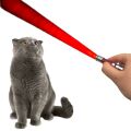 3 Fonksiyonlu Kırmızı Beyaz Işıklı Led Lazer Kedi Köpek Oyuncak Anahtarlık - 1 Adet Stokta Olan Renk Gönderilir