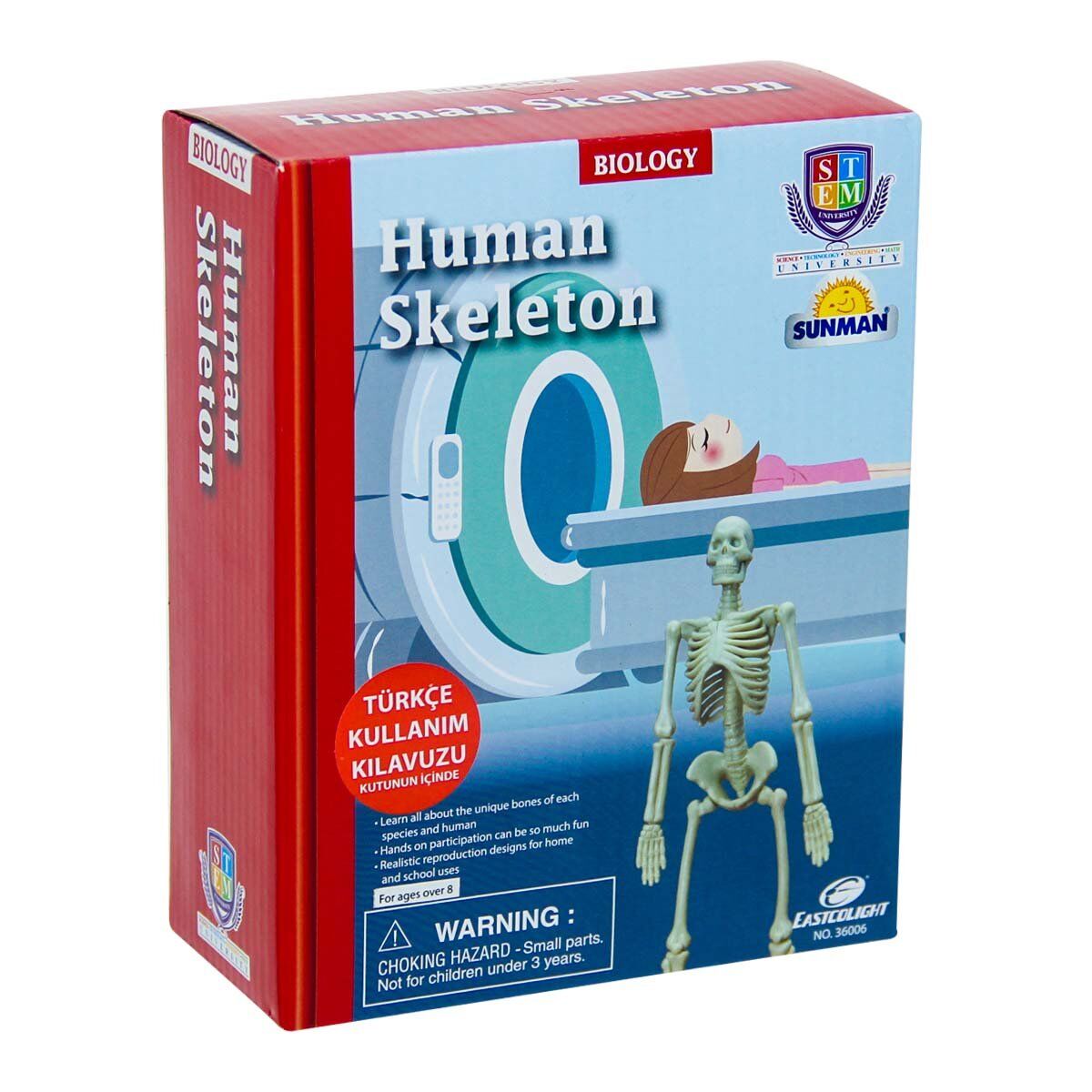 Bilim Seti : İnsan İskeleti - S00028206