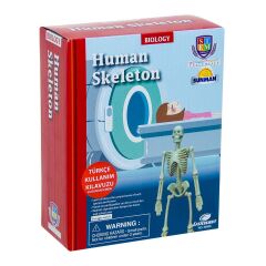 Bilim Seti : İnsan İskeleti - S00028206