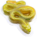 Slimy Yılan Labaratuvarı