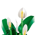 LEGO Botanicals Barış Çiçeği 11504
