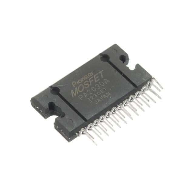 PA 2030A  ZIP-25 Entegre Devre