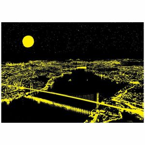 5239 Üç Köprü 1000 Parça Neon
