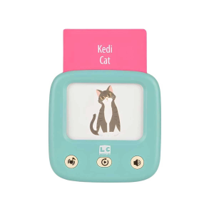 LC Öğretici Türkçe İngilizce Konuşan Flash Kartlar 31050