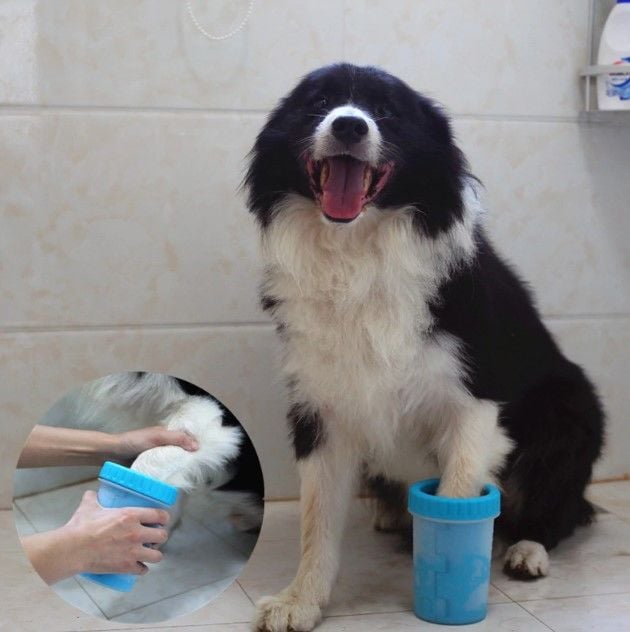 Soft Gentle Köpek Pati Yıkama Aparatı Küçük Soft Gentle Köpek Pati Yıkama Aparatı Küçük