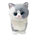37411 FURLEY - CAT GRAY REG-MGA