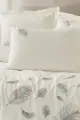 Cotton Box Brode Nakışlı Çift Kişilik Saten Nevresim Takımı Alula Ekru