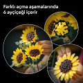 LEGO Botanicals Ayçiçeği Buketi 11502