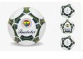FB-5106 FENERBAHÇE FUTBOL TOPU PLUS-CNT