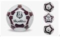 BEŞİKTAŞ FUTBOL TOPU PLUS-CNT