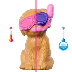 JBF35 Barbie Köpekçikle Havuz Partisi Oyun Seti