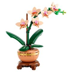 10343 Lego iconic Botanicals Mini Orkide 274 parça +18 yaş