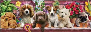 KS Puzzle 1000 Parça Panorama Gallery Art Puppies