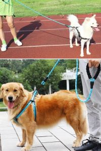 Reflektörlü Fosforlu Köpek Gezdirme Halatı Tasma Kayışı Metal Kancalı 130 cm