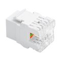 Powermaster Rj45 Cat6 Şase 180 Derece Keystone Jack PM-9993