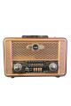 Retro, Nostaljik, Ahşap Tasarım Bluetooth Hoparlörlü, Şarjlı, Taşınabilir Otantik Tasarımlı FM/AM Destekli Radyo NS8098